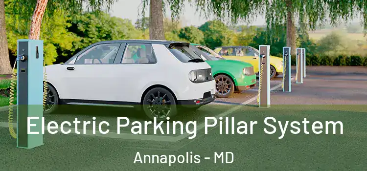 Electric Parking Pillar System Annapolis - MD