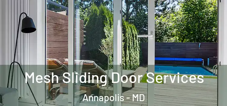 Mesh Sliding Door Services Annapolis - MD